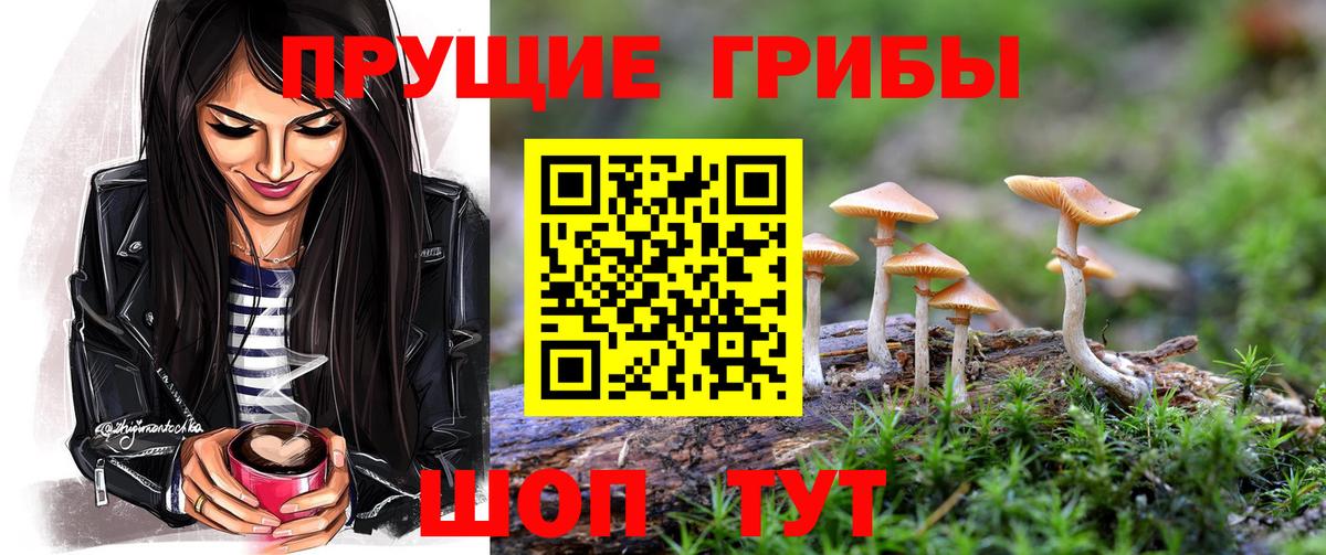 Псилоцибиновые грибы GOLDEN TEACHER  Галлюциногенные грибы Cubensis  Гусев  Вход с VPN 