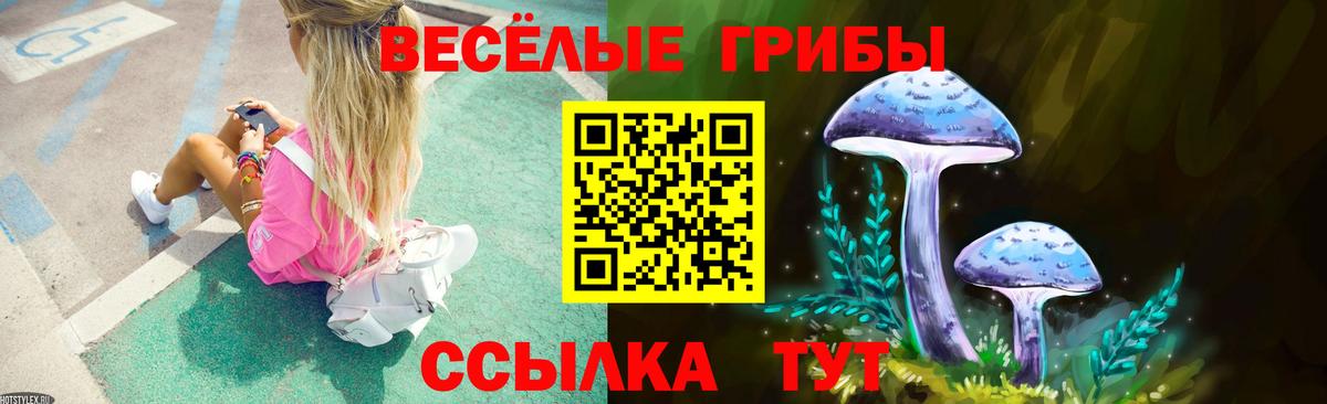 Галлюциногенные грибы GOLDEN TEACHER Гусев